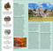 DK Top 10 Cancun and the Yucatan - 9780241757475 by DK Travel