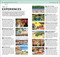 DK Top 10 Cancun and the Yucatan - 9780241757475 by DK Travel