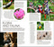 DK Vietnam by DK Travel, 9780241757413