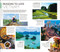 DK Vietnam by DK Travel, 9780241757413