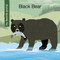Black Bear - 9781534100169 by Virginia Loh-Hagan, Jeff Bane, 9781534100169