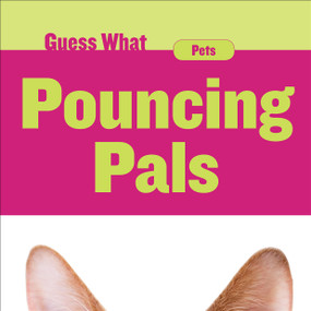 Pouncing Pals (Cat) - 9781534100282 by Felicia Macheske, 9781534100282