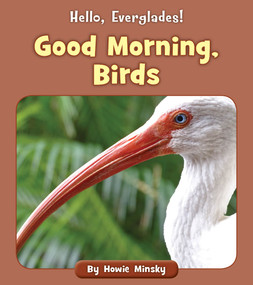 Good Morning, Birds by Howie Minsky, 9781534157071