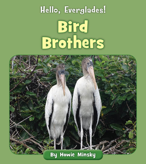 Bird Brothers by Howie Minsky, 9781534157088