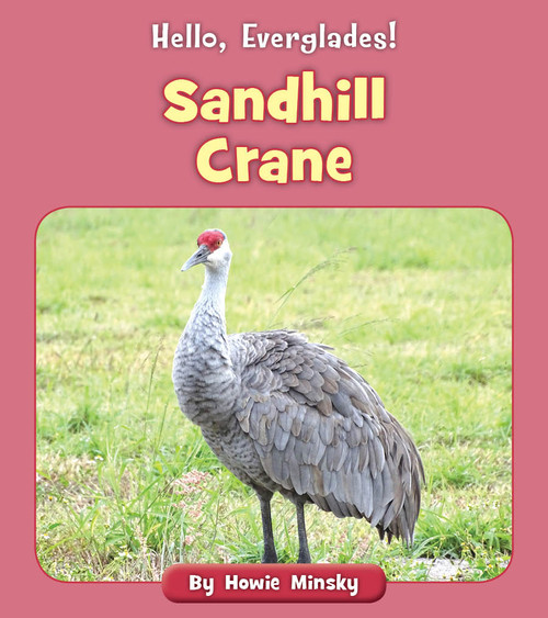 Sandhill Crane by Howie Minsky, 9781534157125