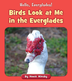 Birds Look at Me in the Everglades by Howie Minsky, 9781534157163