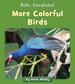 More Colorful Birds by Howie Minsky, 9781534157194