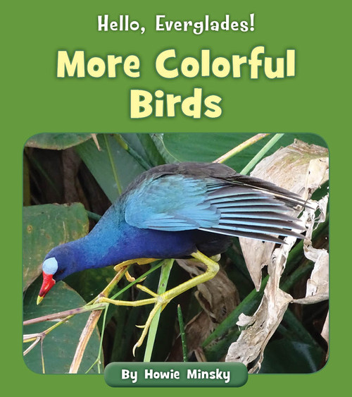 More Colorful Birds by Howie Minsky, 9781534157194