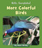 More Colorful Birds by Howie Minsky, 9781534157194