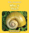 Who is This? by Howie Minsky, 9781534157262