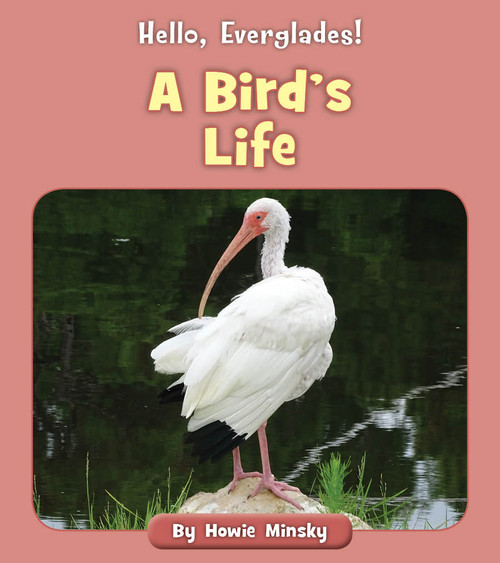 A Bird's Life by Howie Minsky, 9781534157279