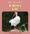 A Bird's Life by Howie Minsky, 9781534157279