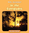 In the Everglades by Howie Minsky, 9781534157286
