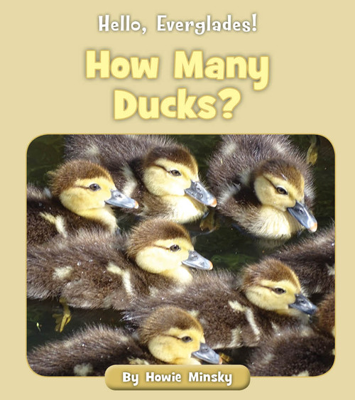 How Many Ducks? by Howie Minsky, 9781534157309