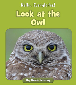 Look at the Owl by Howie Minsky, 9781534157323