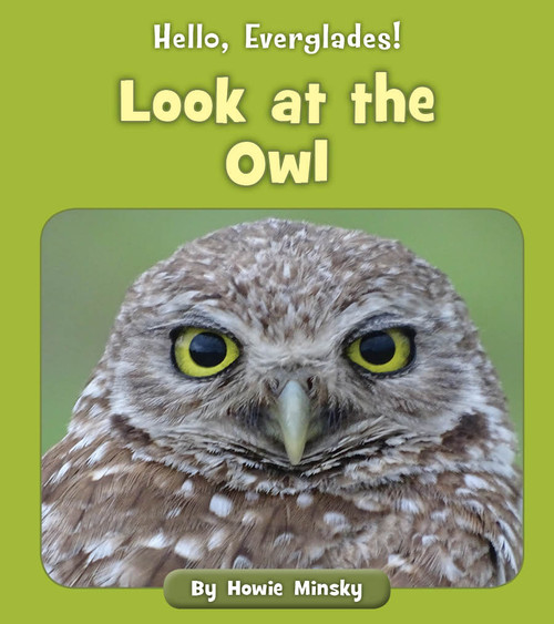 Look at the Owl by Howie Minsky, 9781534157323