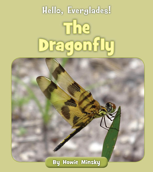 The Dragonfly - 9781534157378 by Howie Minsky, 9781534157378