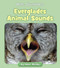 Everglades Animal Sounds by Howie Minsky, 9781534157385