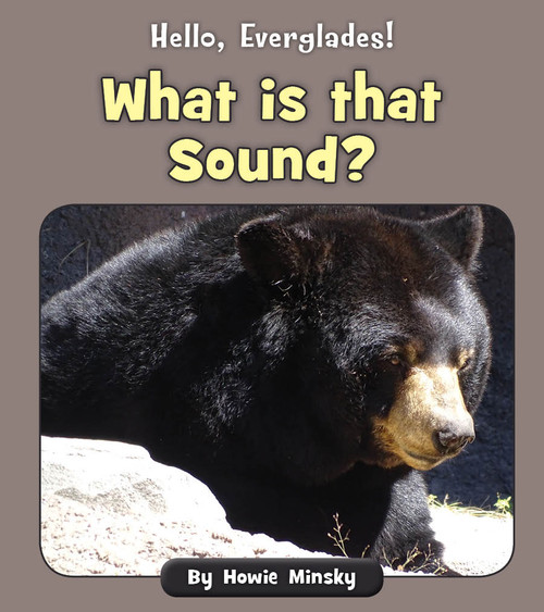 What is that Sound? by Howie Minsky, 9781534157408