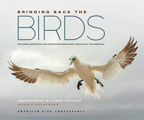 Bringing Back the Birds (Exploring Migration and Preserving Birdscapes throughout the Americas) by American Bird Conservancy, Owen Deutsch, 9781680516340