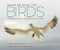 Bringing Back the Birds (Exploring Migration and Preserving Birdscapes throughout the Americas) by American Bird Conservancy, Owen Deutsch, 9781680516340