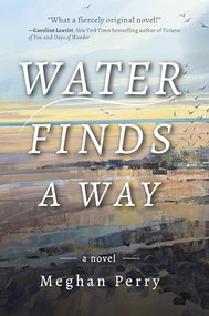 Water Finds a Way a novel by Meghan Perry, 9781953002419