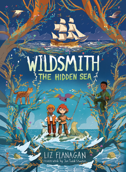 The Hidden Sea by Liz Flanagan, Joe Todd-Stanton, 9781454957584
