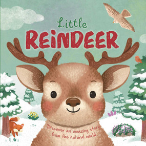 Nature Stories: Little Reindeer by IglooBooks, Willow Green, Gisela Bohórquez, 9781835449707