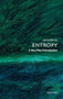 Entropy (A Very Short Introduction) by James Binney, 9780198901488
