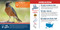 My Backyard Bird Book by Cheryl Johnson, 9781464255281