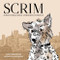 Scrim (A New Orleans Story of Resilience and Rescue) by Kaye Courington, Aileen Bennett, 9798992741308