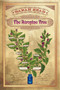The Atropine Tree by Sarah Read, 9798988128656