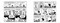 Carlitos y Snoopy. Las mejores tiras de Peanuts / Charlie Brown and Snoopy. The Best Peanuts Comic Strips (Spanish Edition) by Charles M. Schulz, 9788410352629