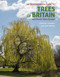 An Identification Guide to Trees of Britain & North-West Europe by Gail Ashton, Dominic Couzens, 9781913679453