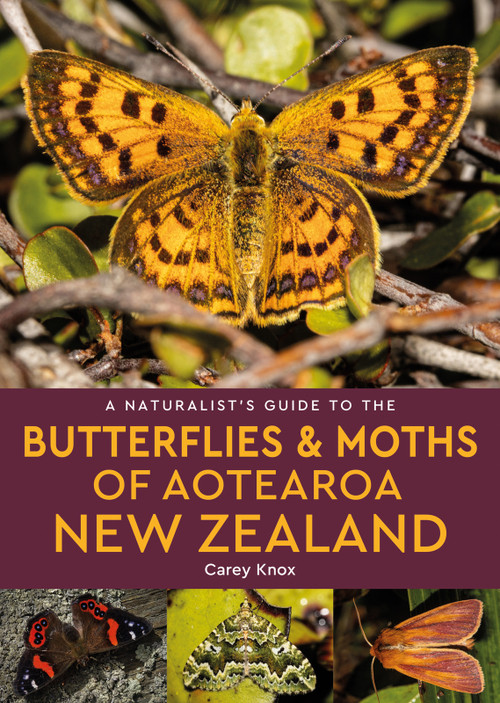 A Naturalist's Guide to the Butterflies & Moths of Aotearoa New Zealand by Carey Knox, 9781913679668
