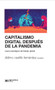 Capitalismo digital después de la pandemia (Nuevo paradigma del trabajo global) (Spanish Edition) by Dídimo Castillo Fernández, 9786070313981