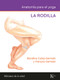 Anatomía para el yoga (La rodilla) (Spanish Edition) by Blandine Calais-Germain, 9788411212434