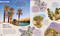 Desert (Journey Through the Hot Sands and Frosty Lands) by Anita Ganeri, 9798217126835