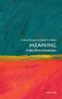 Meaning (A Very Short Introduction) by Emma Borg, Sarah A. Fisher, 9780192866547