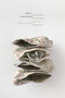 Unruly Comparison (Queerness, Hong Kong, and the Sinophone) by Alvin K. Wong, 9781478028673