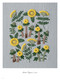 Embroidering Life (Stitching Patterns and Projects for Every Season) by Yumiko Higuchi, 9781645474104