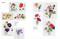 Trish Burr's Nature Embroidery Transfers (75 iron-on designs) by Trish Burr, 9781800923096