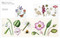 Trish Burr's Nature Embroidery Transfers (75 iron-on designs) by Trish Burr, 9781800923096