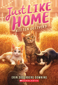 Kitten Delivery (Just Like Home, Book Two) by Erin Soderberg Downing, 9781546124948