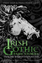 Irish Gothic Fairy Stories (From the 32 Counties of Ireland) by Steve Lally, Paula Flynn Lally, 9780750986984