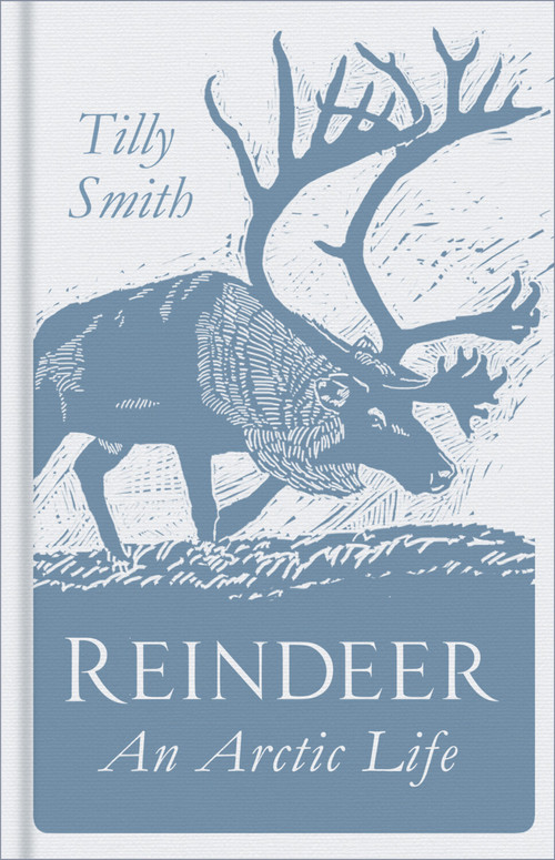 Reindeer (An Arctic Life) by Tilly Smith, 9780750987974
