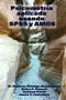 Applied Psychometrics Using SPSS and AMOS (Spanish Edition) by María Dolores Hidalgo Montesinos, Brian F. French, Holmes Finch, Jason C. Immekus, 9781648028038