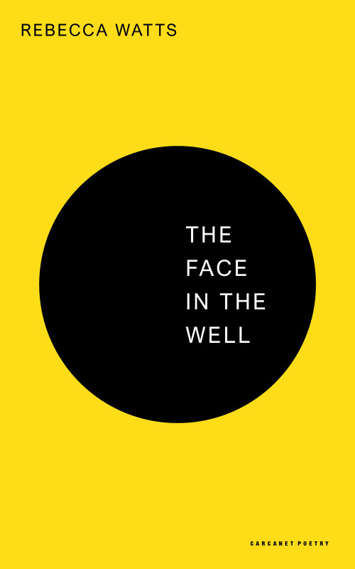 The Face in the Well by Rebecca Watts, 9781800174580