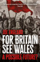 For Britain See Wales: A Possible Future? by Joe England, 9781917140287