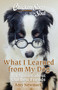 Chicken Soup for the Soul: What I Learned from My Dog (101 Stories about Our Best Friends) by Amy Newmark, 9781611591194